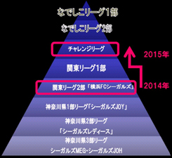 目指せなでしこリーグ入り 横浜ｆｃシーガルズ オフィシャルクラブトップパートナー契約更新 プロポーションづくりのダイアナ