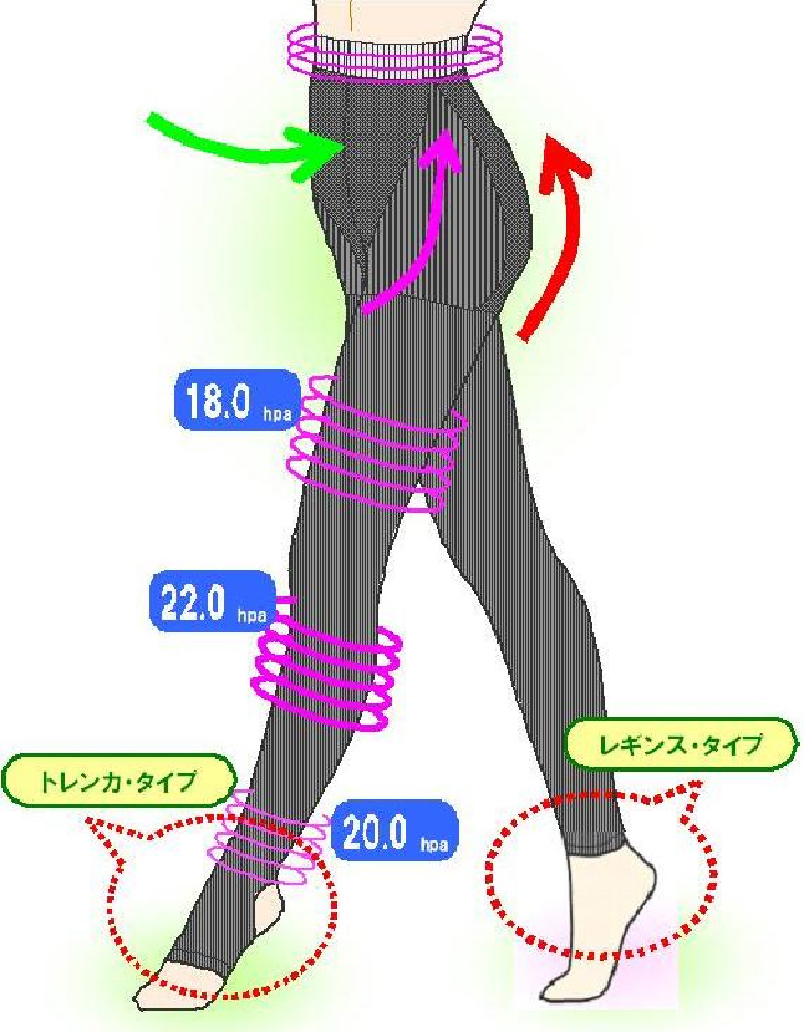 最大12%OFFクーポン アーティレクト Artilect レディース スキー スノーボード スパッツ レギンス ボトムス パンツSea