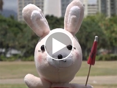 Diana Meeting in Hawaii ～海外研修を120％満喫しちゃおう！～