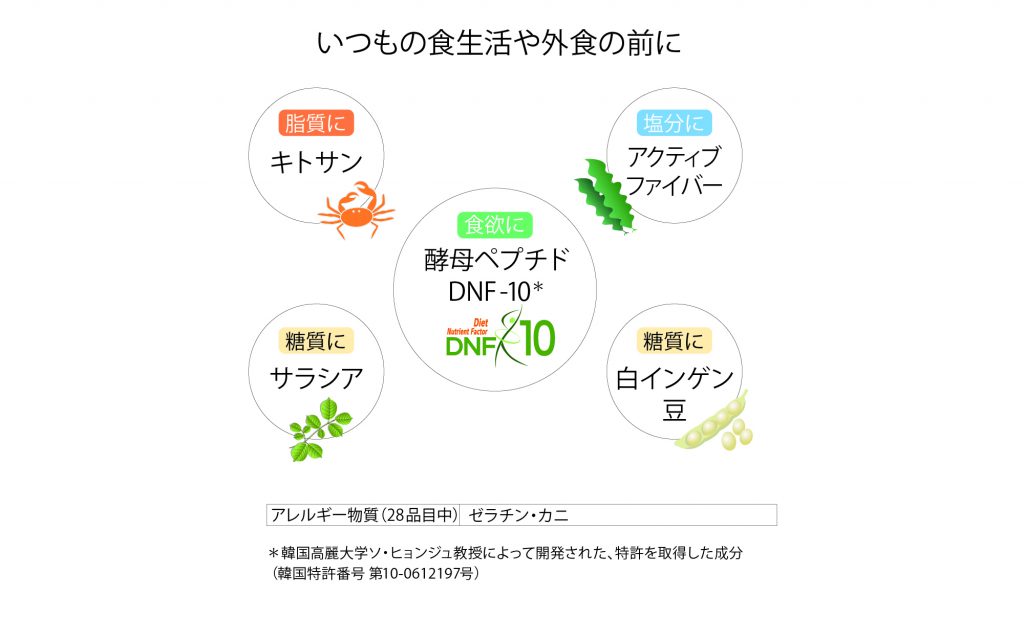 カロフィックス（内容）