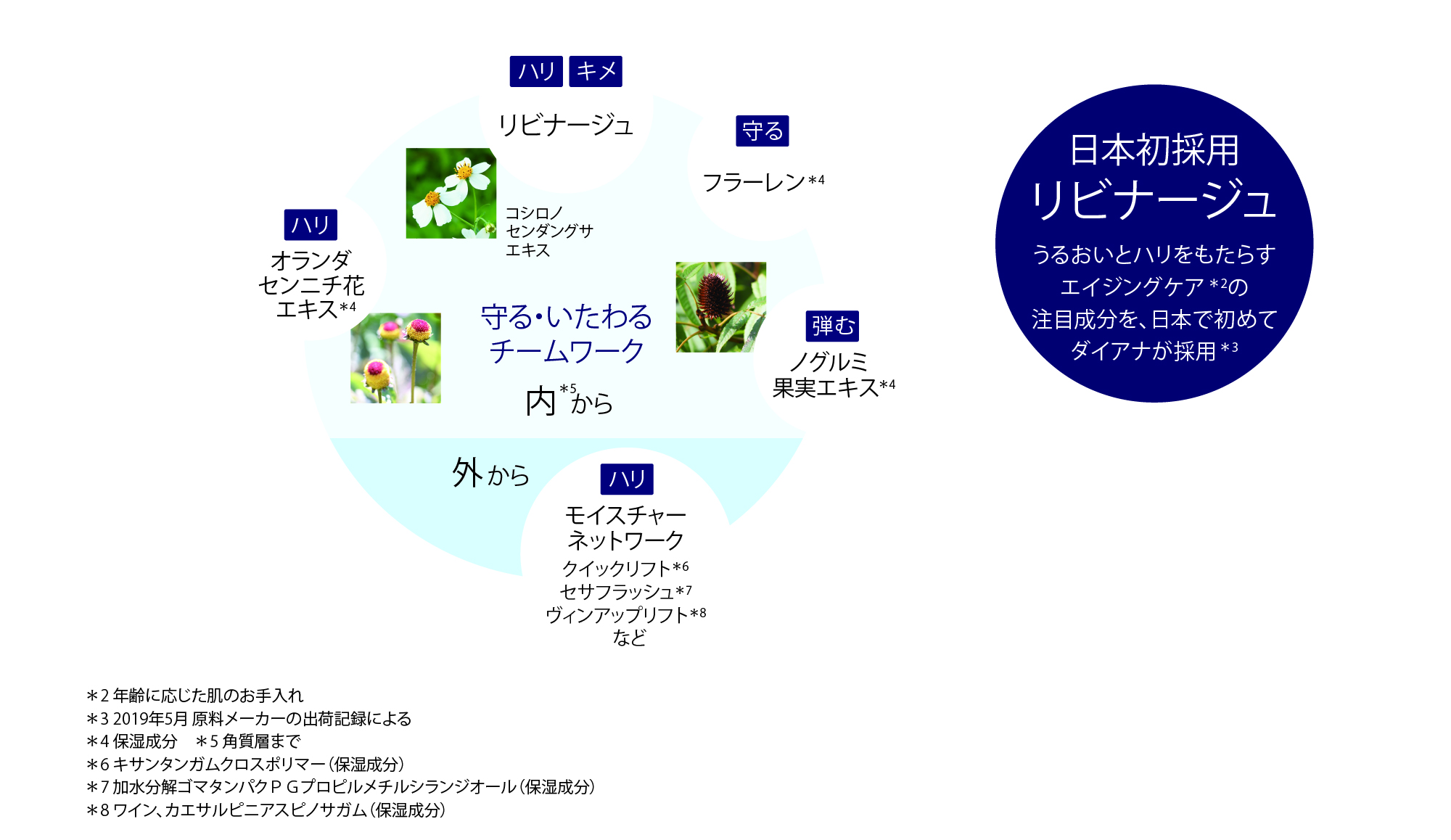 アグレス リンクルクリーム