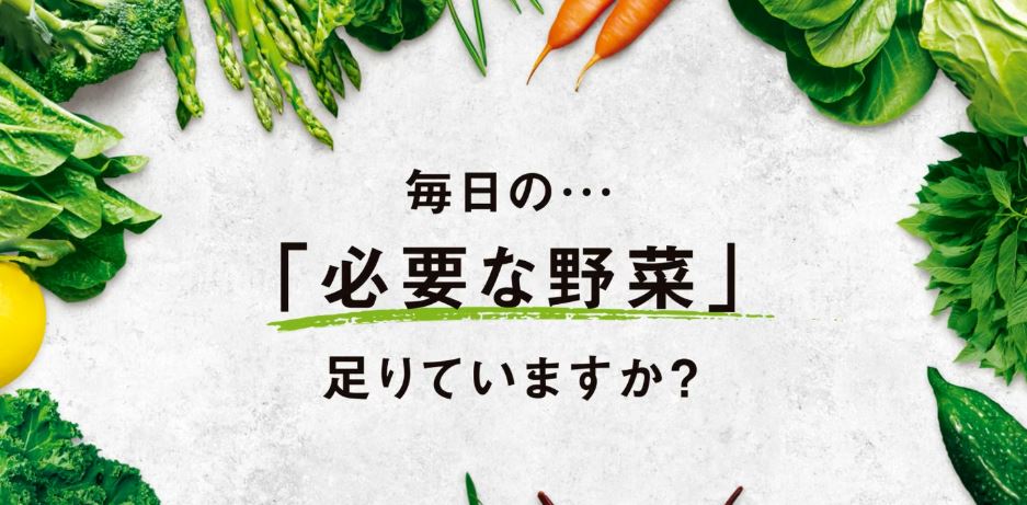 ベジベース ファイバー